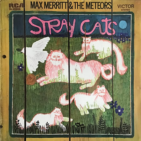 Stray Cats