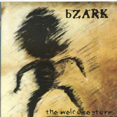 bZARK - The Welcome Storm