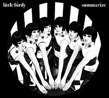 Little Birdy - summarize