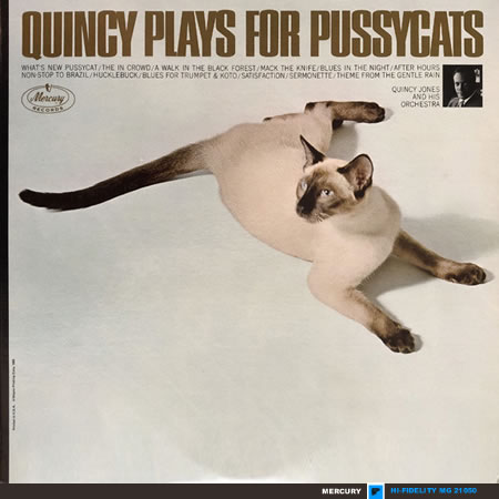 Quincy Plays For Pussycats