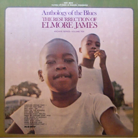 The Resurrection Of Elmore James