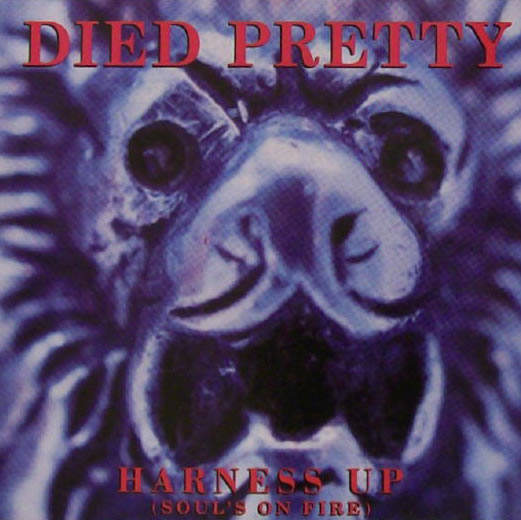 Died Pretty - Harness Up