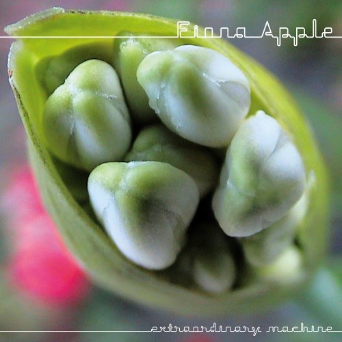 Fiona Apple - Extraordinary Machine (Bonus DVD)
