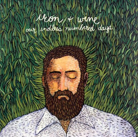 Iron & Wine - Our Endless Numbered Days