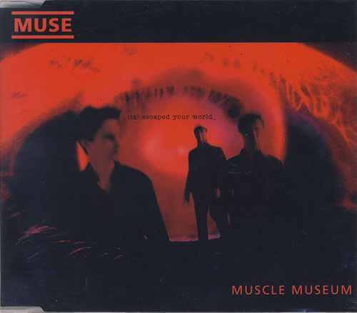 Muscle Museum