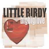 Little Birdy - Big Big Love (Advance Copy)