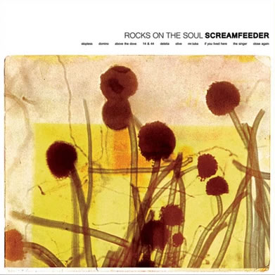 Rocks on the Soul (Vinyl Re-release)